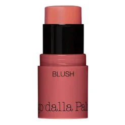 All In One Blush