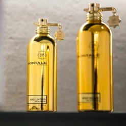 Aoud Leather Eau de Parfum 100 ml