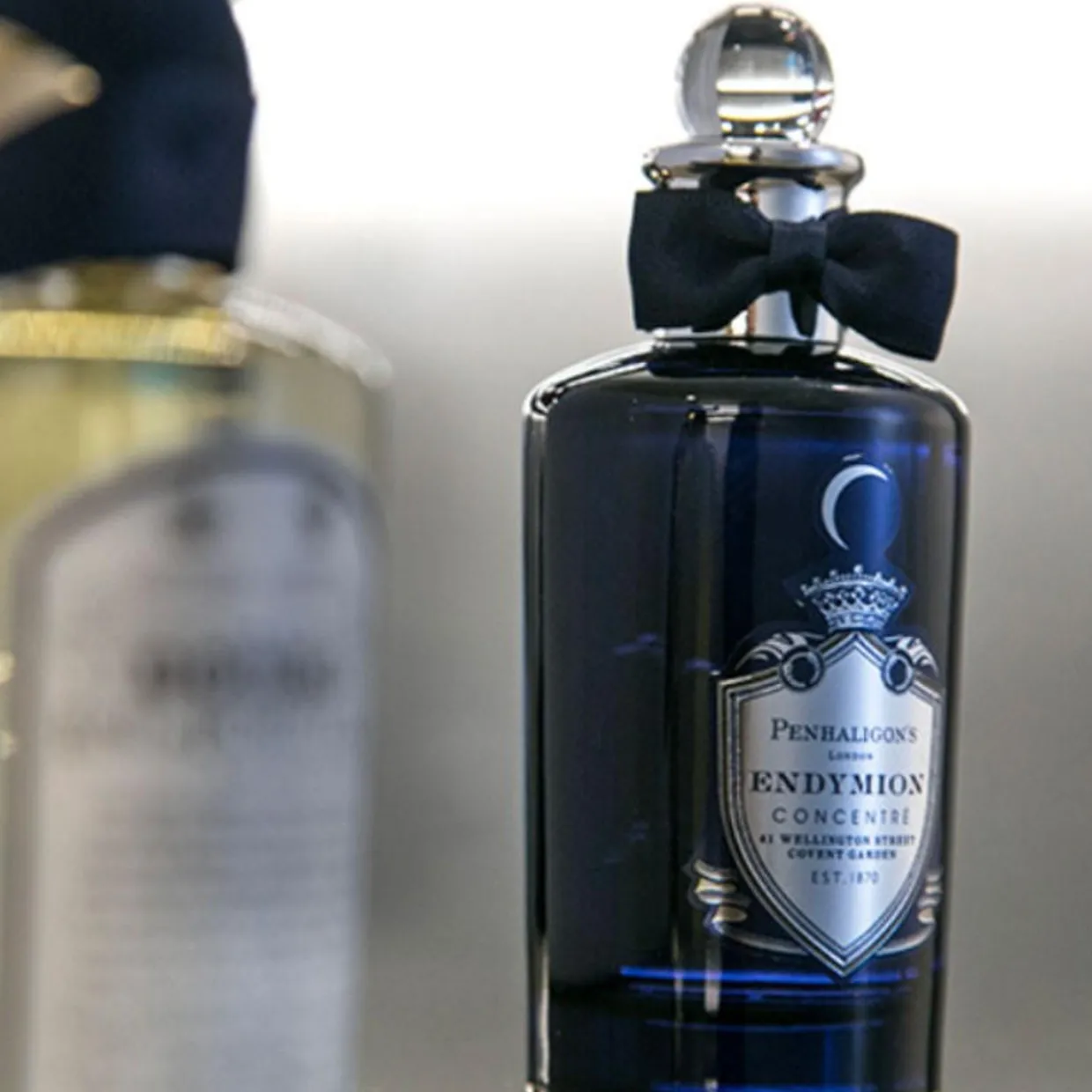 Endymion Concentre EDP